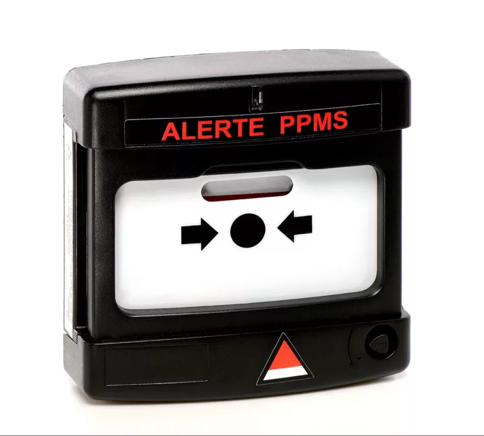 DM PPMS